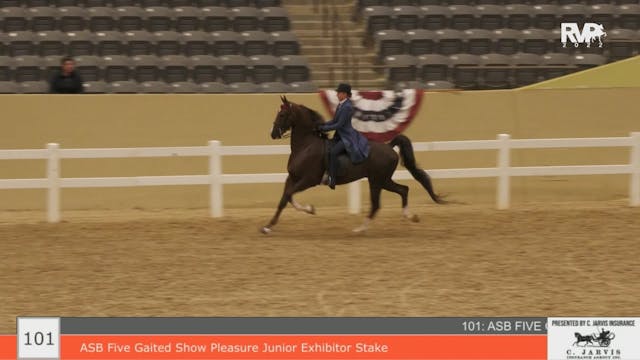 KYFC22 - Class 101 - ASB Five Gaited ...