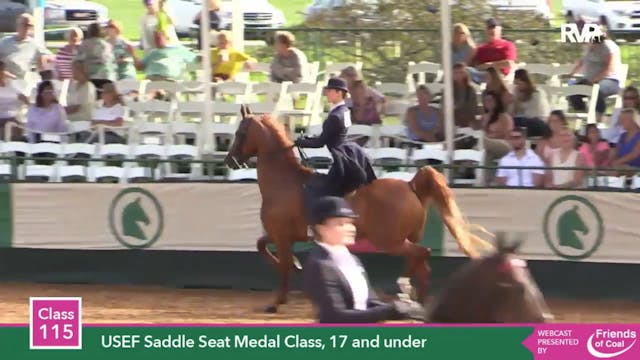 2015 LJL - Class 115 USEF Saddle Seat...