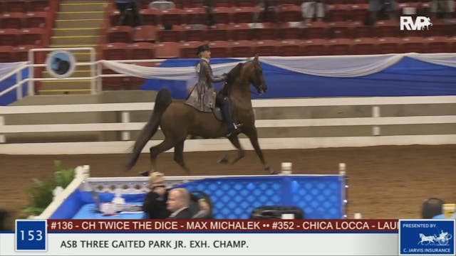 2020 BR - Class 153 ASB Three Gaited ...