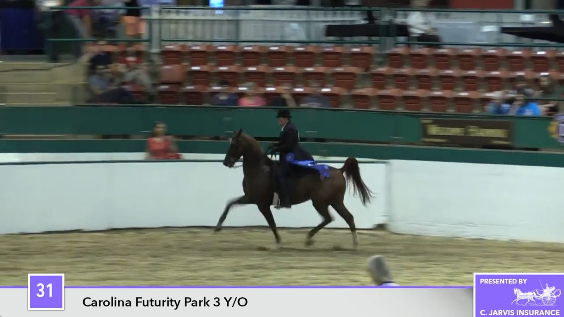 NCSC16 - I'm Your Fella