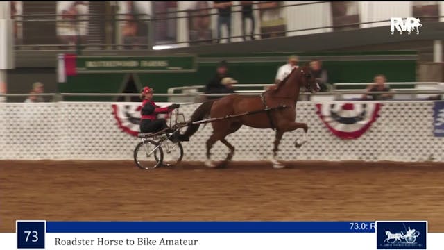AAC23 - Class 73 - Roadster Horse to ...