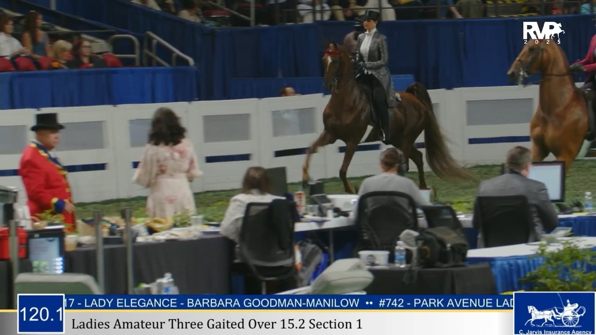 WCHS25 - Class 120.1 - Ladies Amateur Three Gaited Over 15.2 Section 1