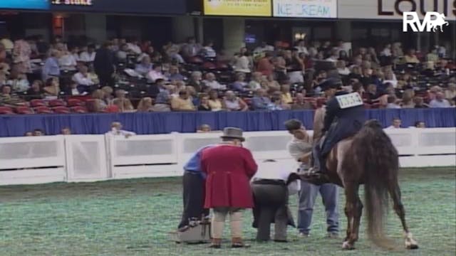 2007 WCHS Class 145 Three Gaited Over...