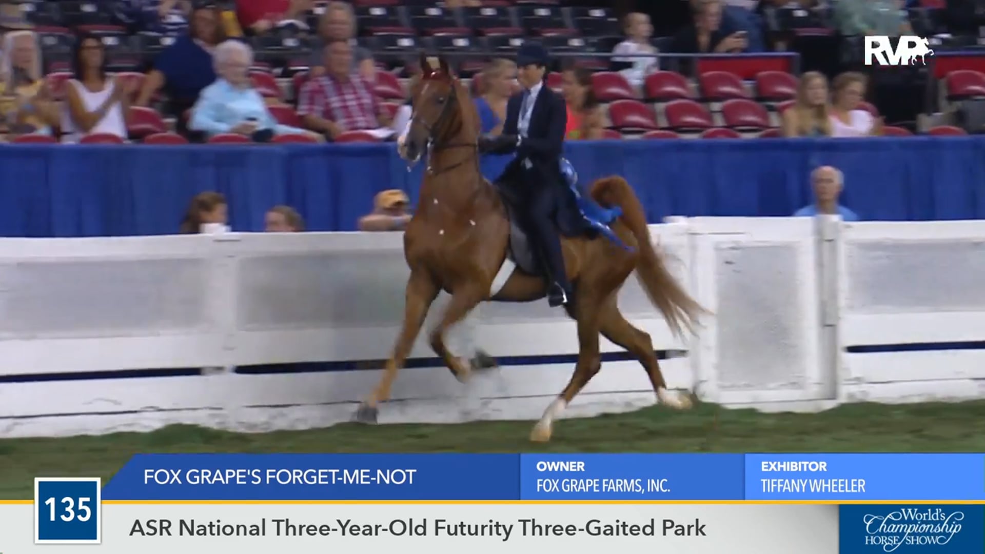 WCHS16 - Fox Grape's Forget Me Not