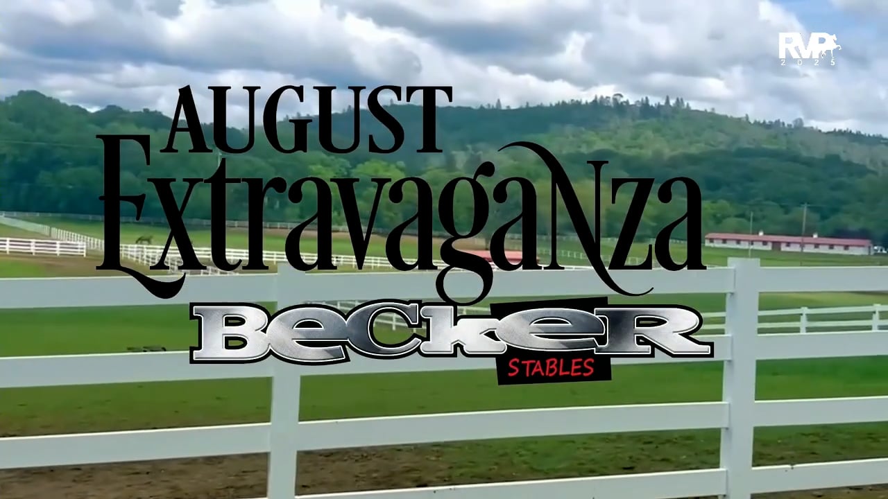 2025 Arabian Nationals - Friday Afternoon - Pavilion