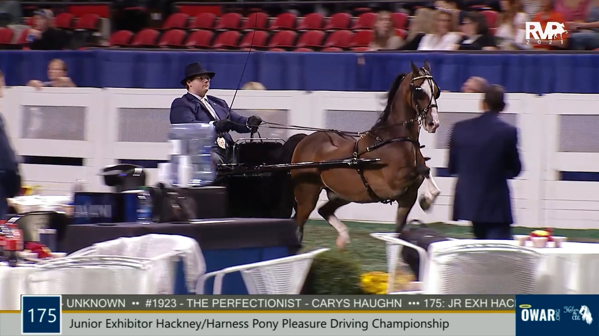 WCHS21 - Class 175 - Junior Exhibitor Hackney Harness Pony Pleasure Driving Championship