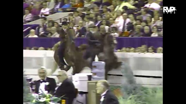 1999 WCHS - Class 222 Five Gaited Jun...