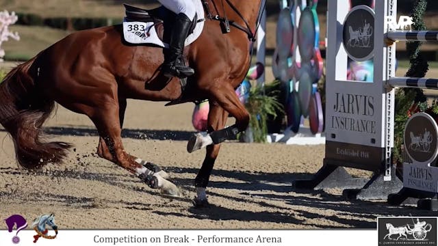 2024 Youth Arabian Nationals - Perfor...