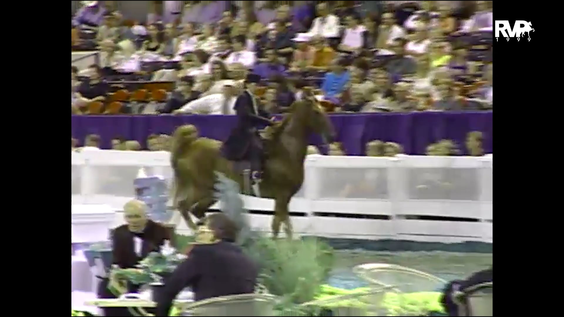 1999 WCHS - Class 50.1 Junior Five Gaited Stallion-Gelding Stake Division 2