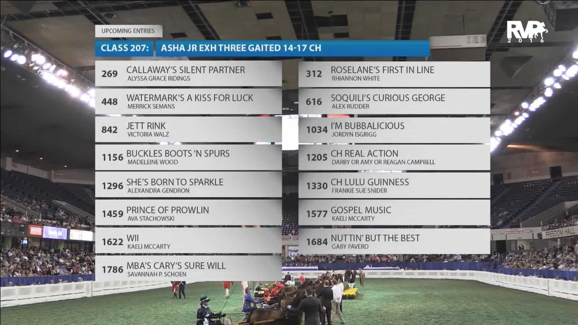 WCHS16 - Class 206 - Amateur Roadster Pony Championship