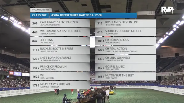 WCHS16 - Class 206 - Amateur Roadster...