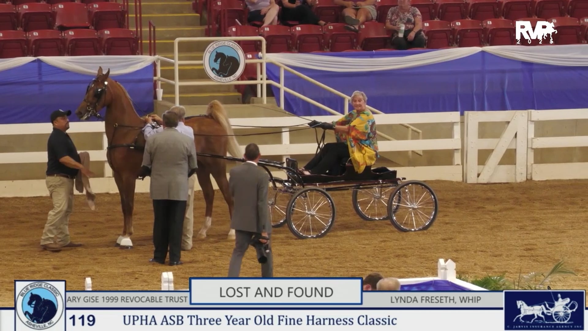 BRC25 - Class 119 - UPHA ASB Three Year Old Fine Harness Classic