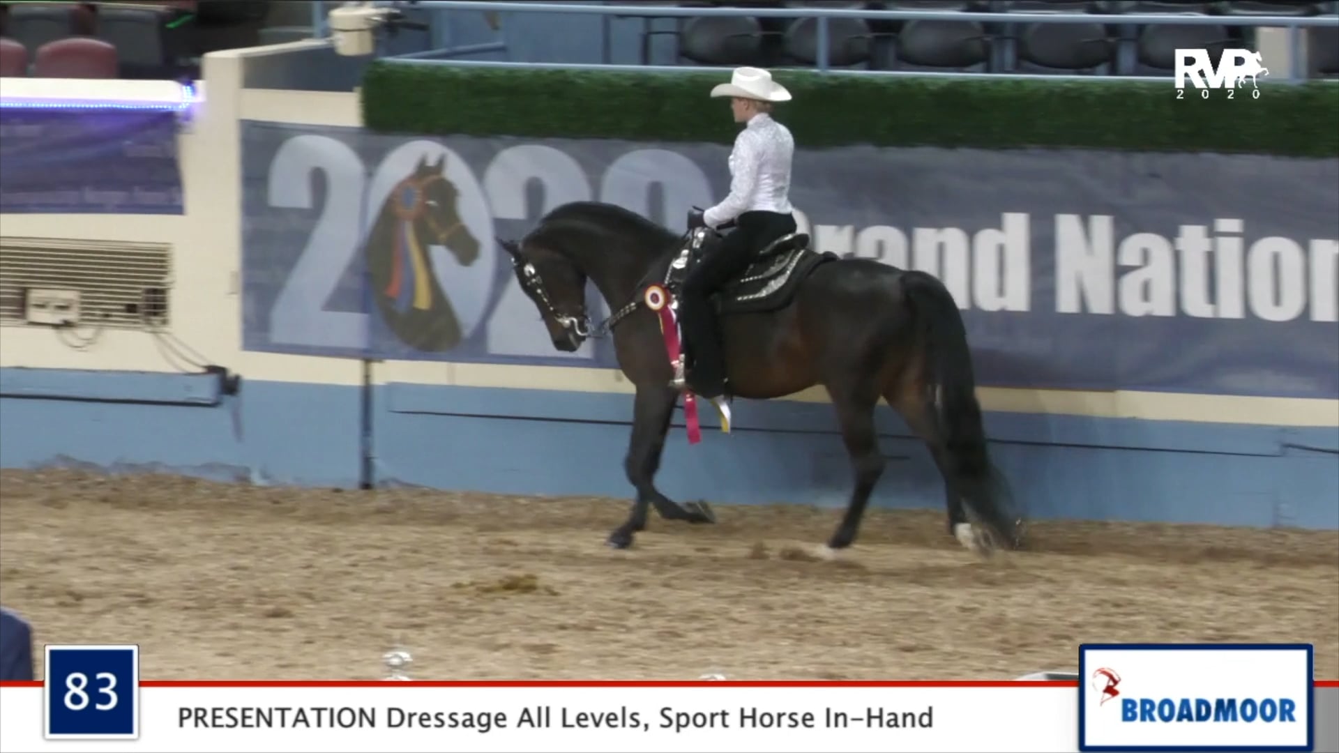 2020 MGN - Class 83 PRESENTATION Dressage All Levels:Sport Horse In-Hand
