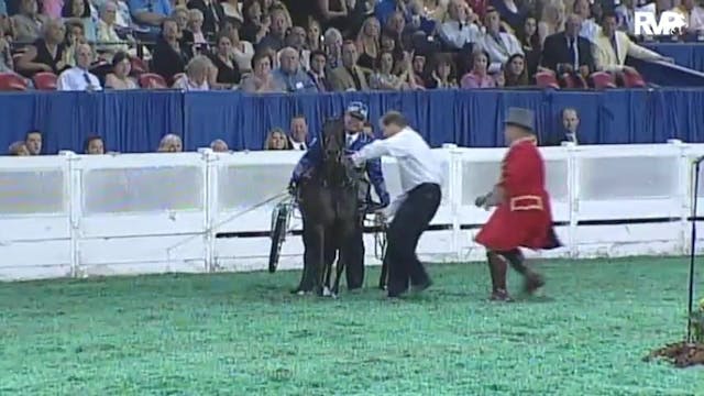 2010 World's Championship Horse Show ...