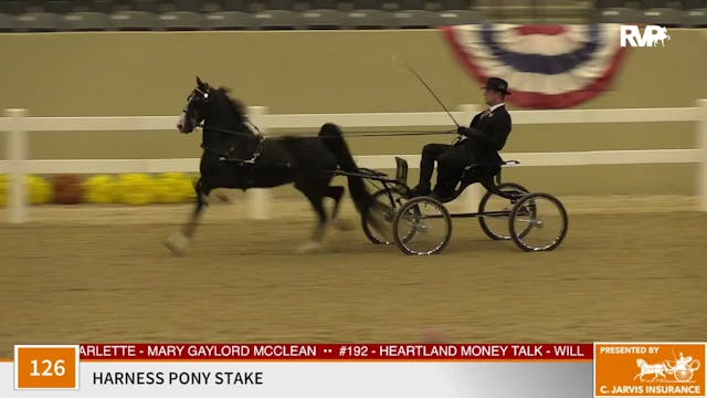 KFC 2020 - Class 126 Harness Pony Stake