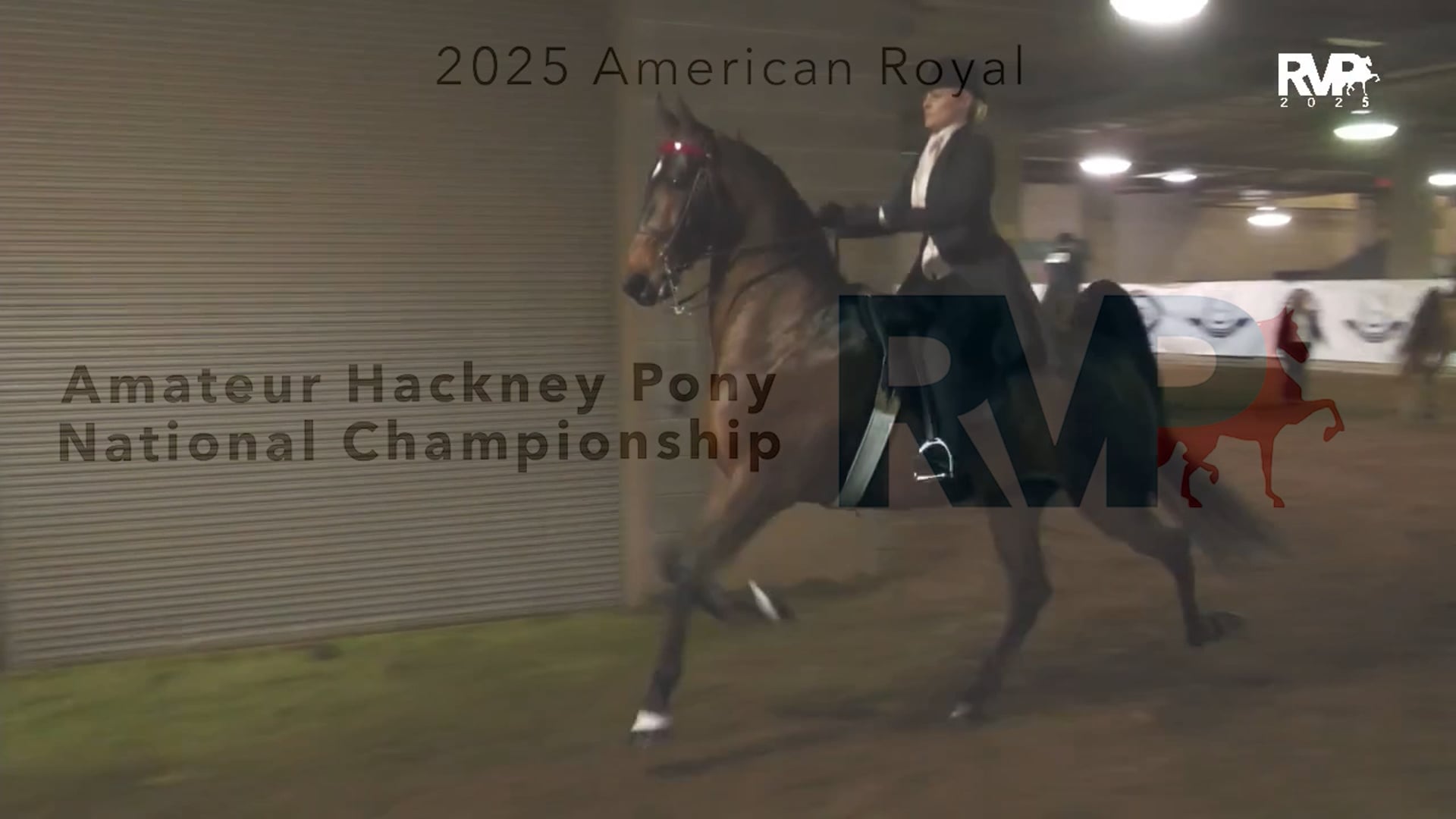 KC25 - Class 158 - Amateur Hackney Pony National Championship
