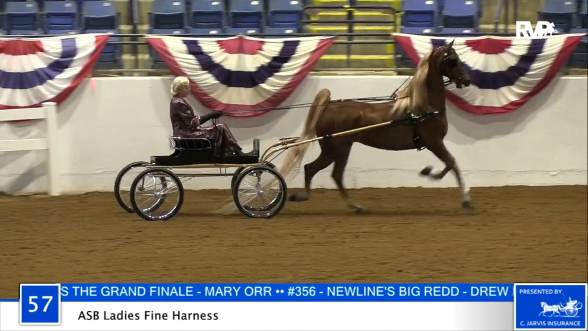 2020 BB - Class 57 ASB Ladies Fine Harness