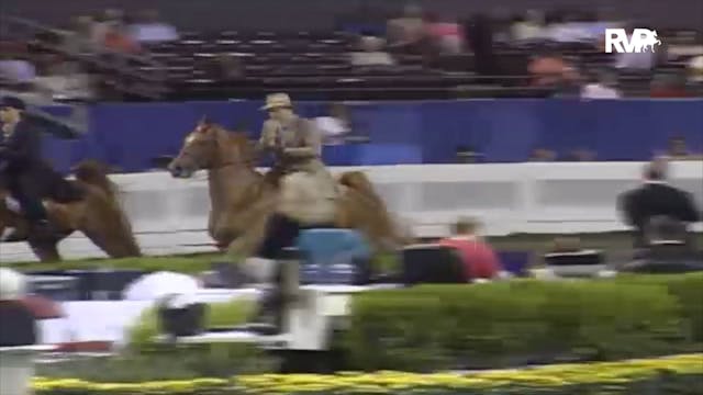 2006 WCHS Class 49 Junior Five Gaited...