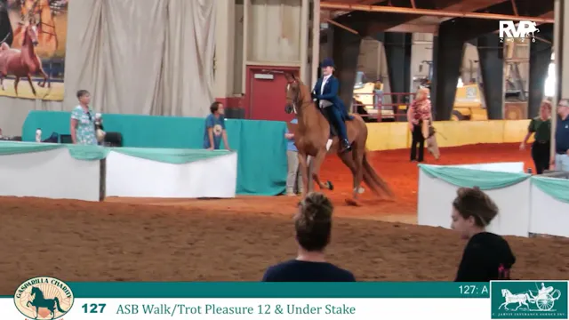 GC26 - Class 127 - ASB WT Pleasure 12...