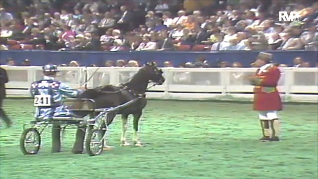 1992 WCHS Class 166 Roadster Pony Cha...