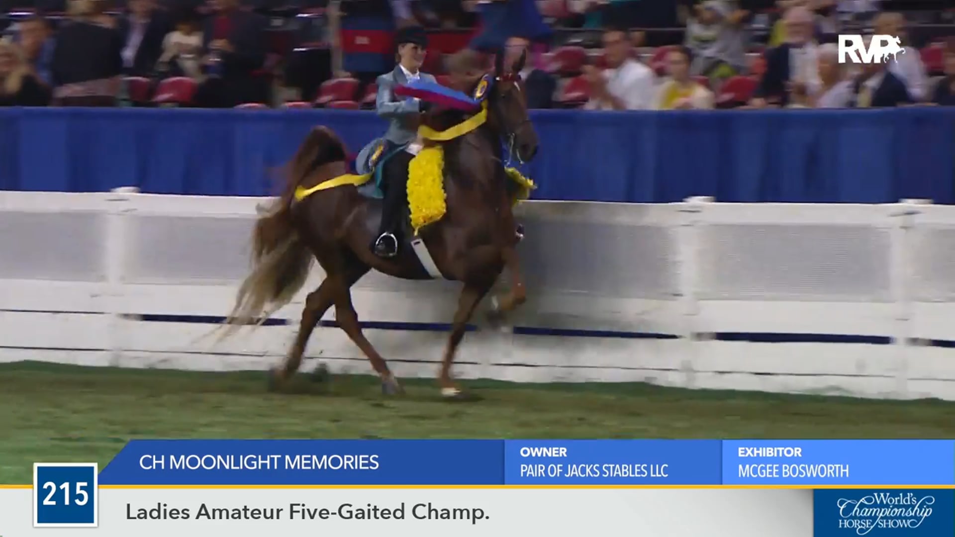 WCHS16 - CH Moonlight Memories - Championship 