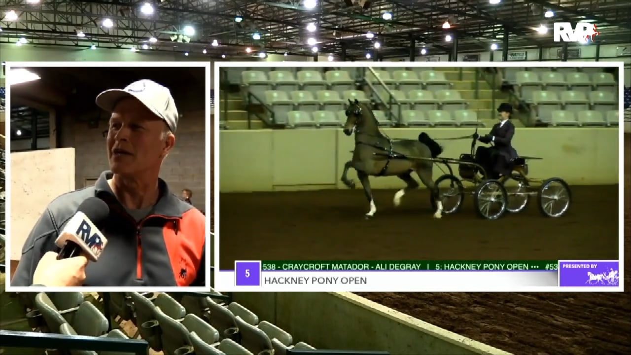 2018 Southern Saddlebred Fall Finale - Thursday Evening