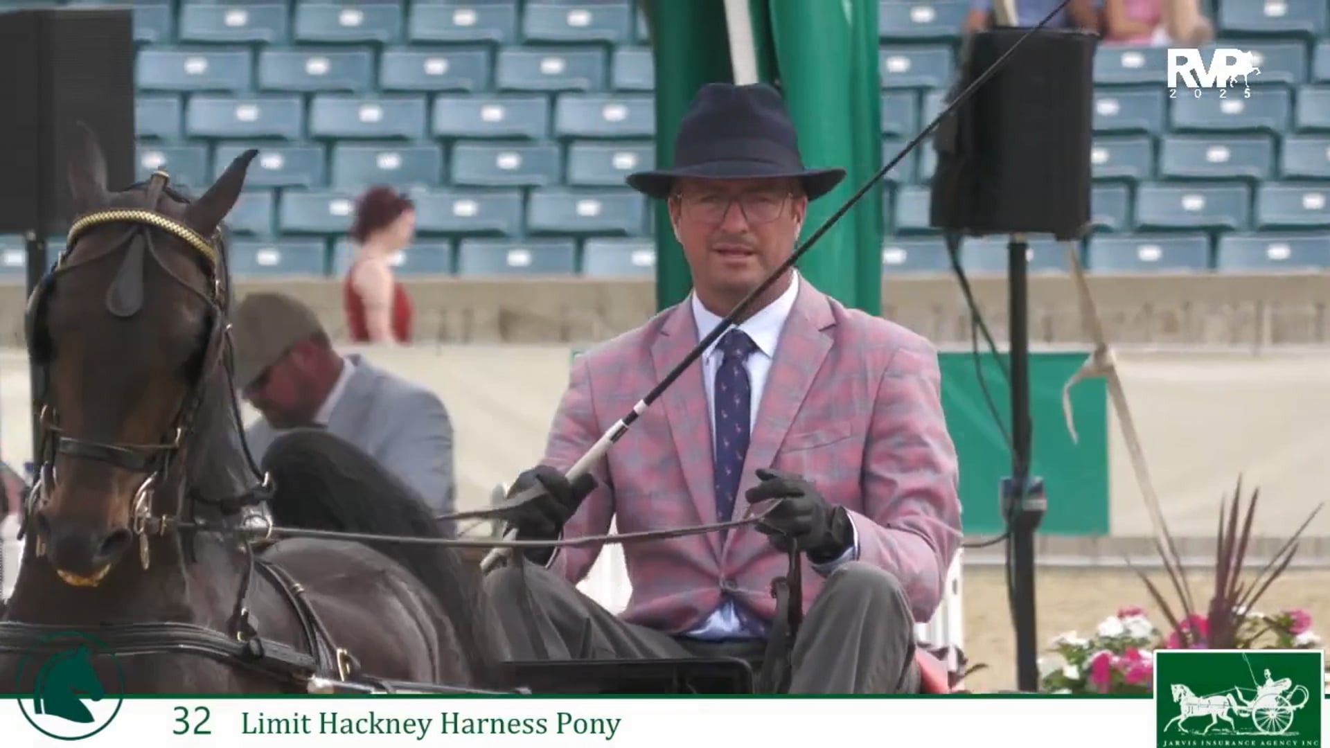 LJL25 - Class 32 - Limit Hackney Harness Pony