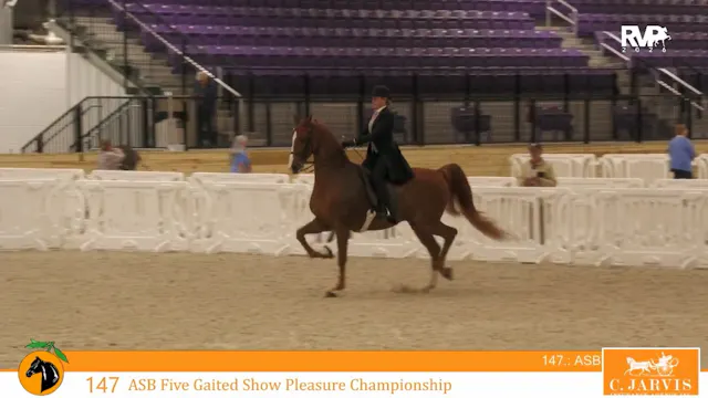CC26 - Class 147 - ASB Five Gaited Sh...