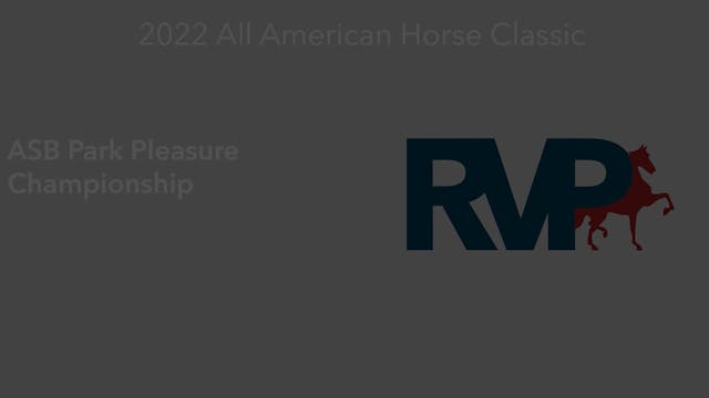 AAC22 - Class 130 -  ASB Park Pleasur...