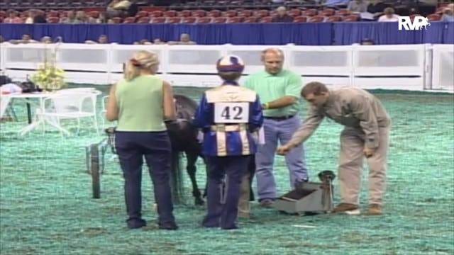 2006 WCHS Class 120 Junior Exhibitor ...