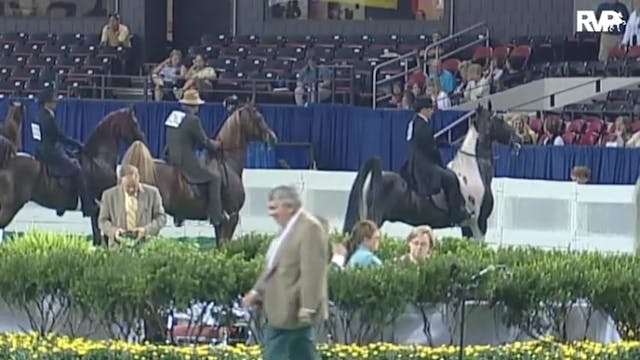 2010 World's Championship Horse Show ...