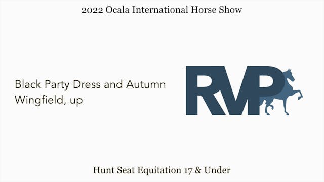 OIHS22 - 73 - Black Party Dress and A...