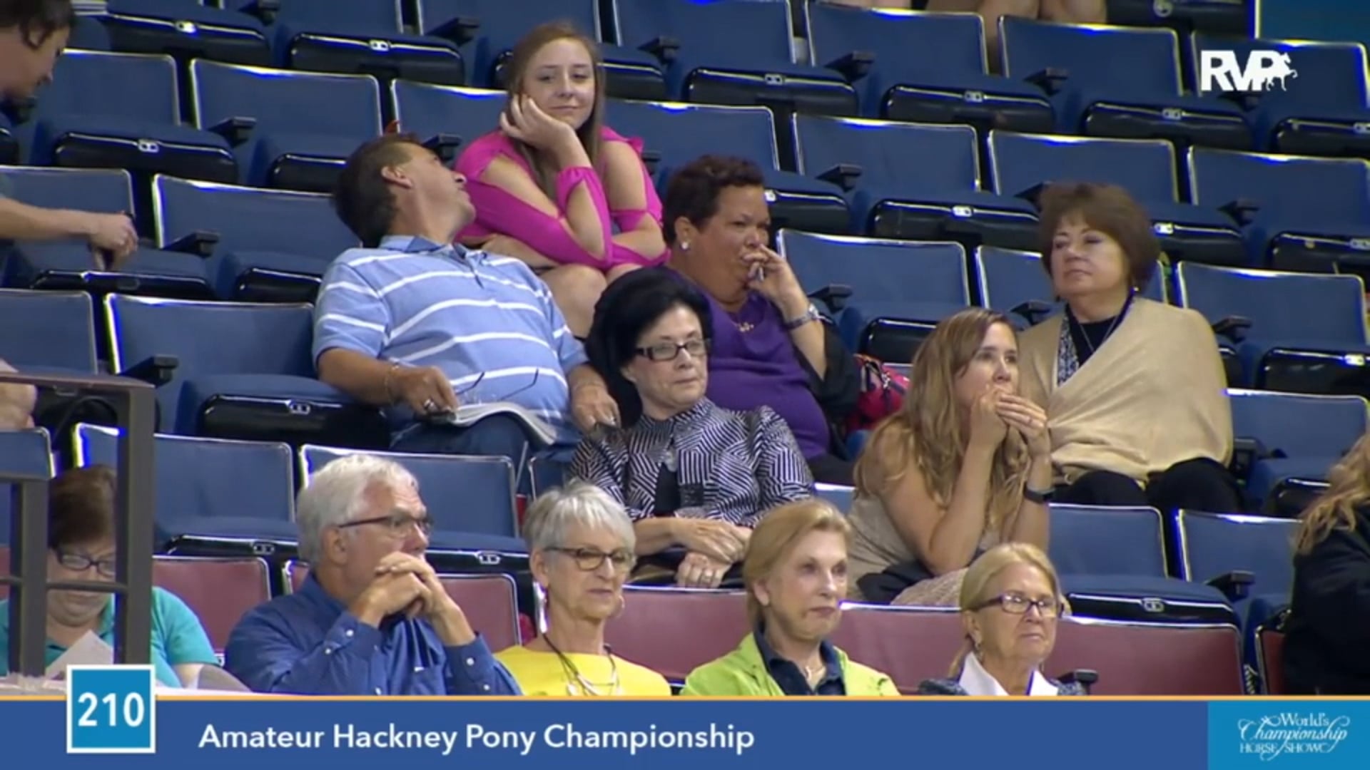 2015 WCHS - Class 210 Amateur Hackney Pony
 Championship