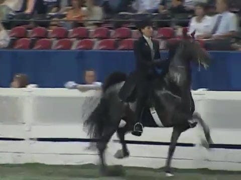 2008 WCHS Class 150 Ladies Five Gaite...