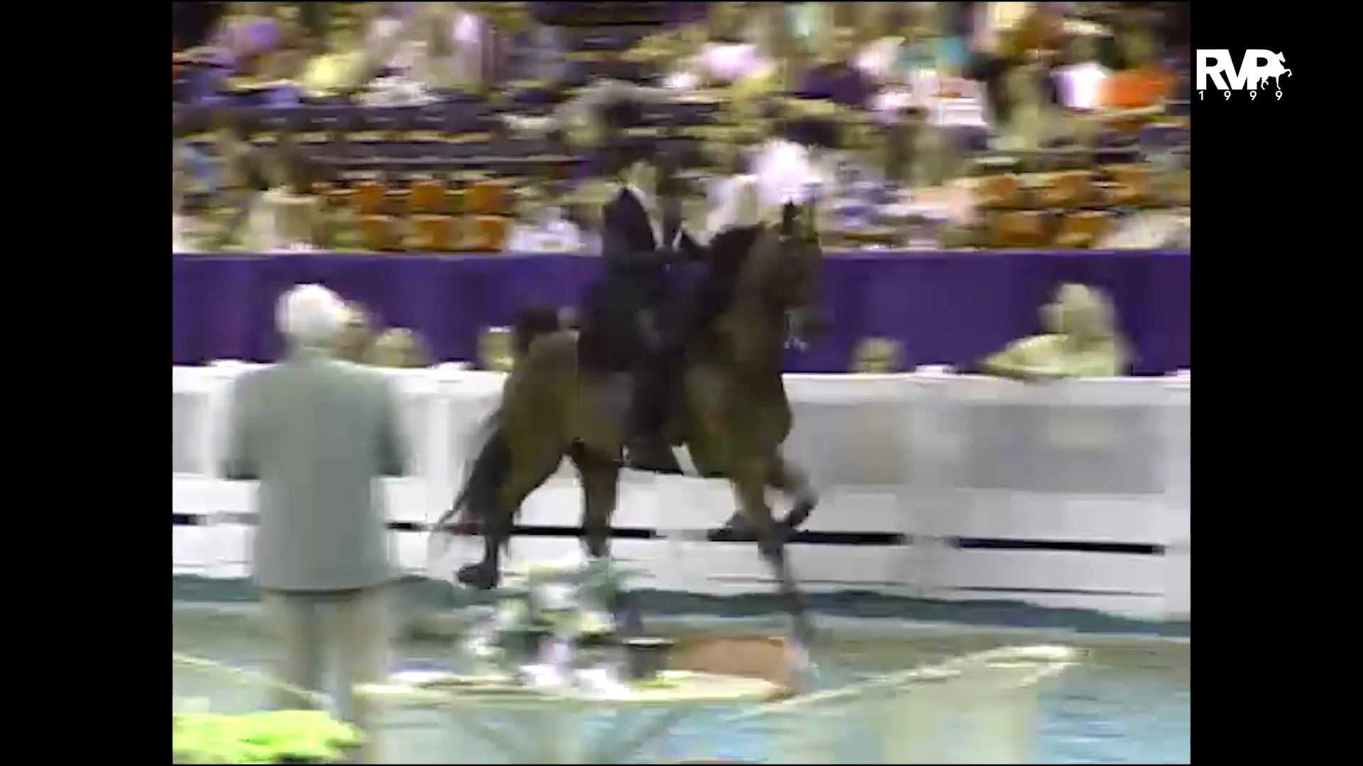 1999 WCHS - Class 36 ASB Three Gaited Show Pleasure Adult 41 & Over