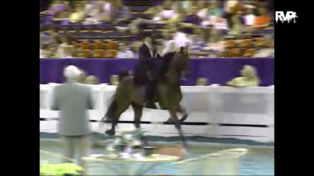 1999 WCHS - Class 36 ASB Three Gaited...