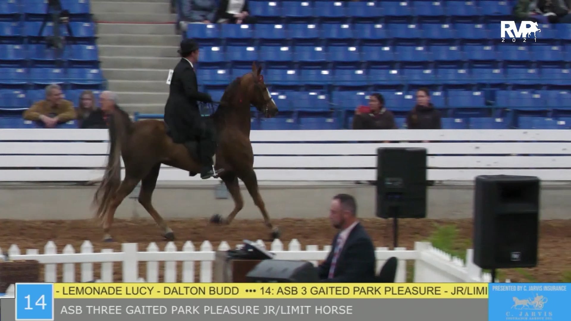 SSSF21 - Class 14 - ASB Three Gaited Park Pleasure Junior-Limit Horse