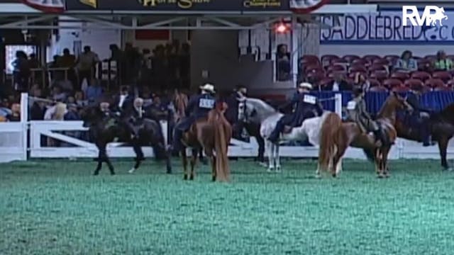 2009 World's Championship Horse Show ...