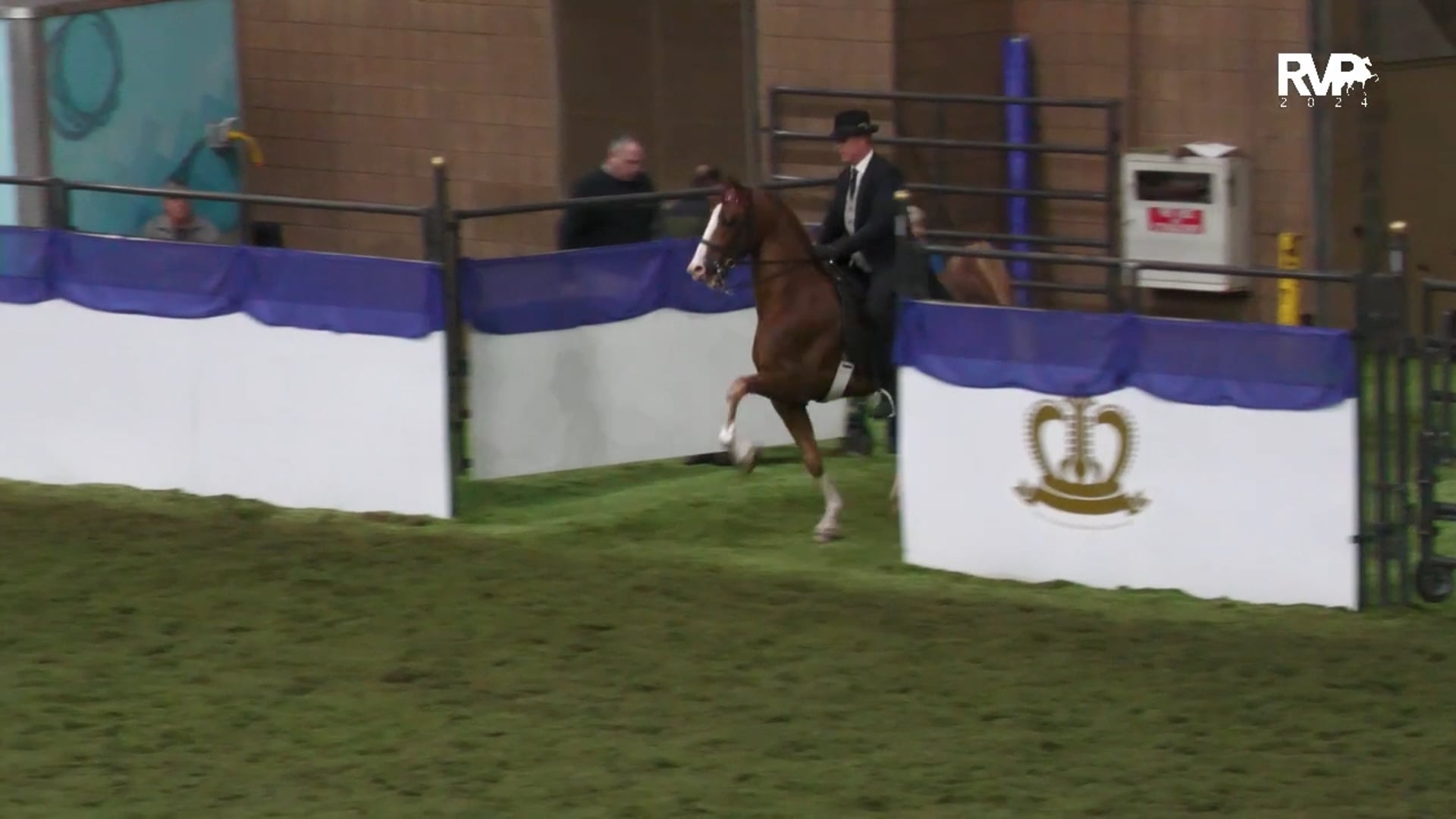 AR24 - Class 44 - Three Gaited Two-Year-Old