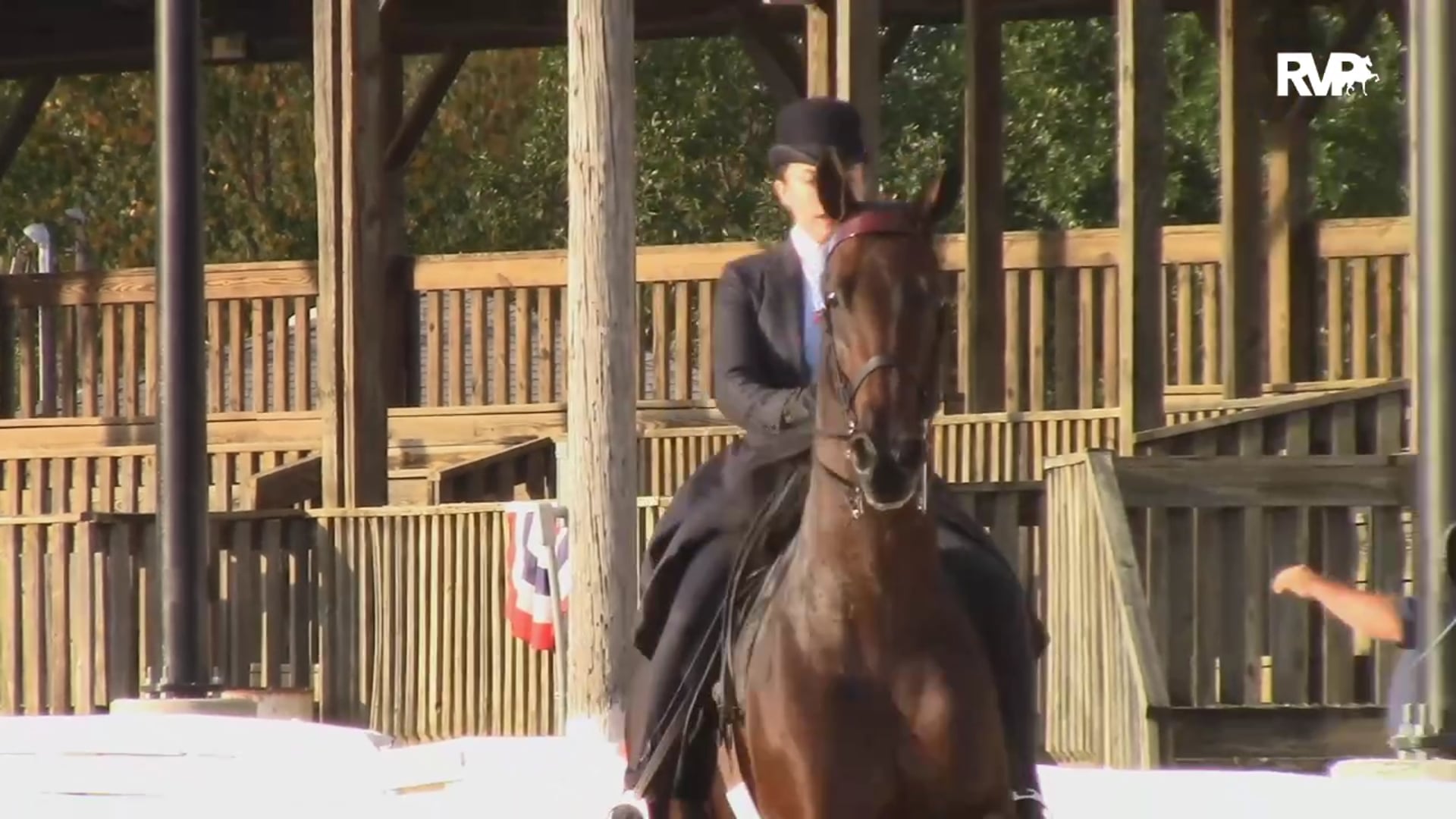 2019 American Saddlebred Horse Association of Virginia - Saturday Night