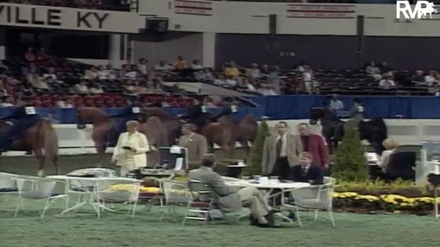 2003 WCHS Class 30 Junior Exhibitor T...