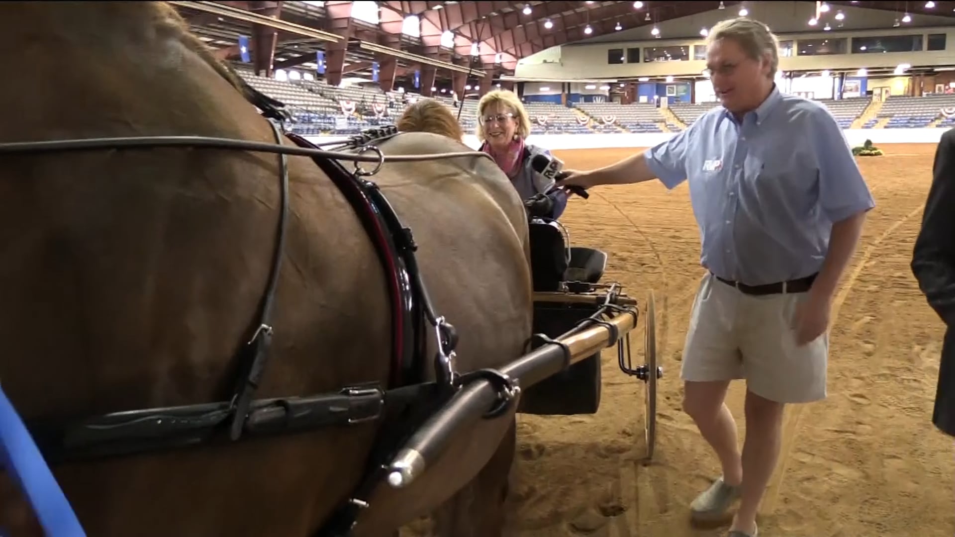 BB19 - Class 62 - CH Attache's Chocolate Thunder