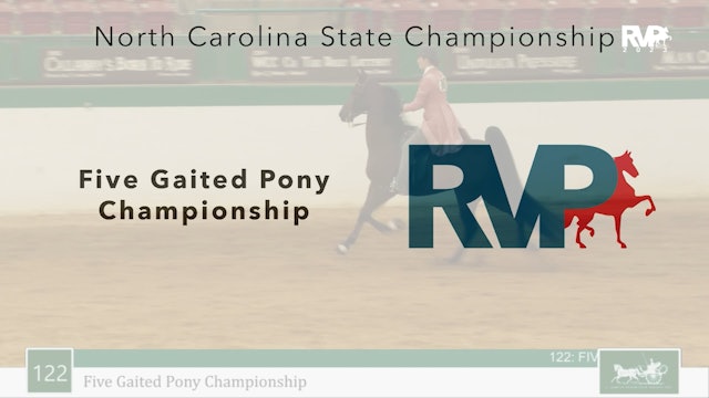 NCSC23 - Class 122 - Five Gaited Pony Championship