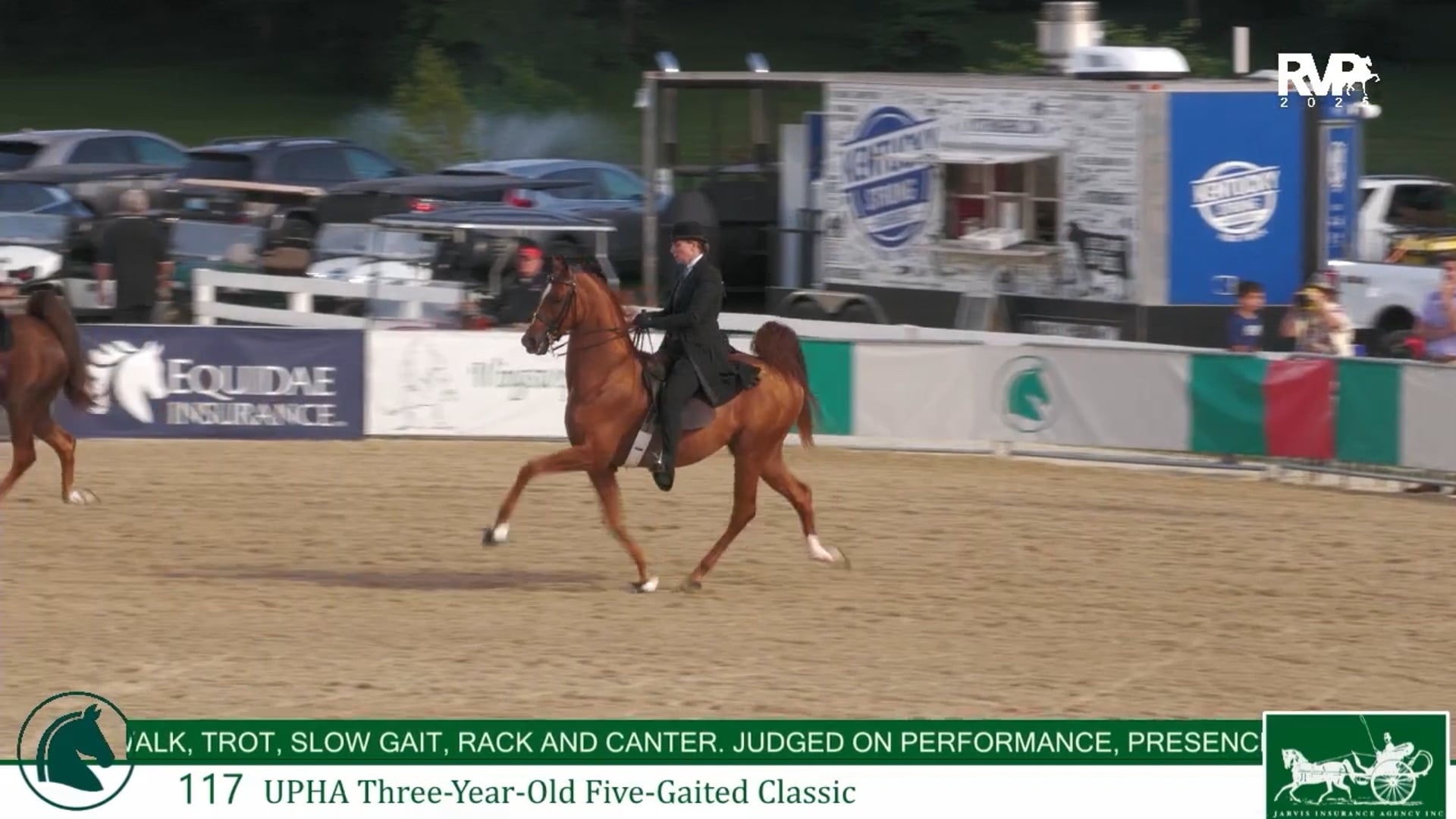 LJL25 - Class 117 - UPHA Three Year Old Five Gaited Classic
