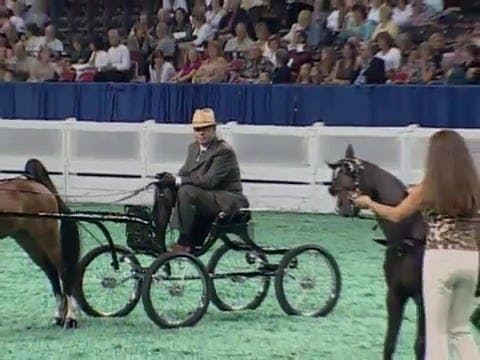2008 WCHS Class 3 County Fair Champio...