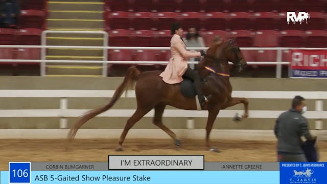 ASW21 - Class 106 - ASB Five Gaited S...