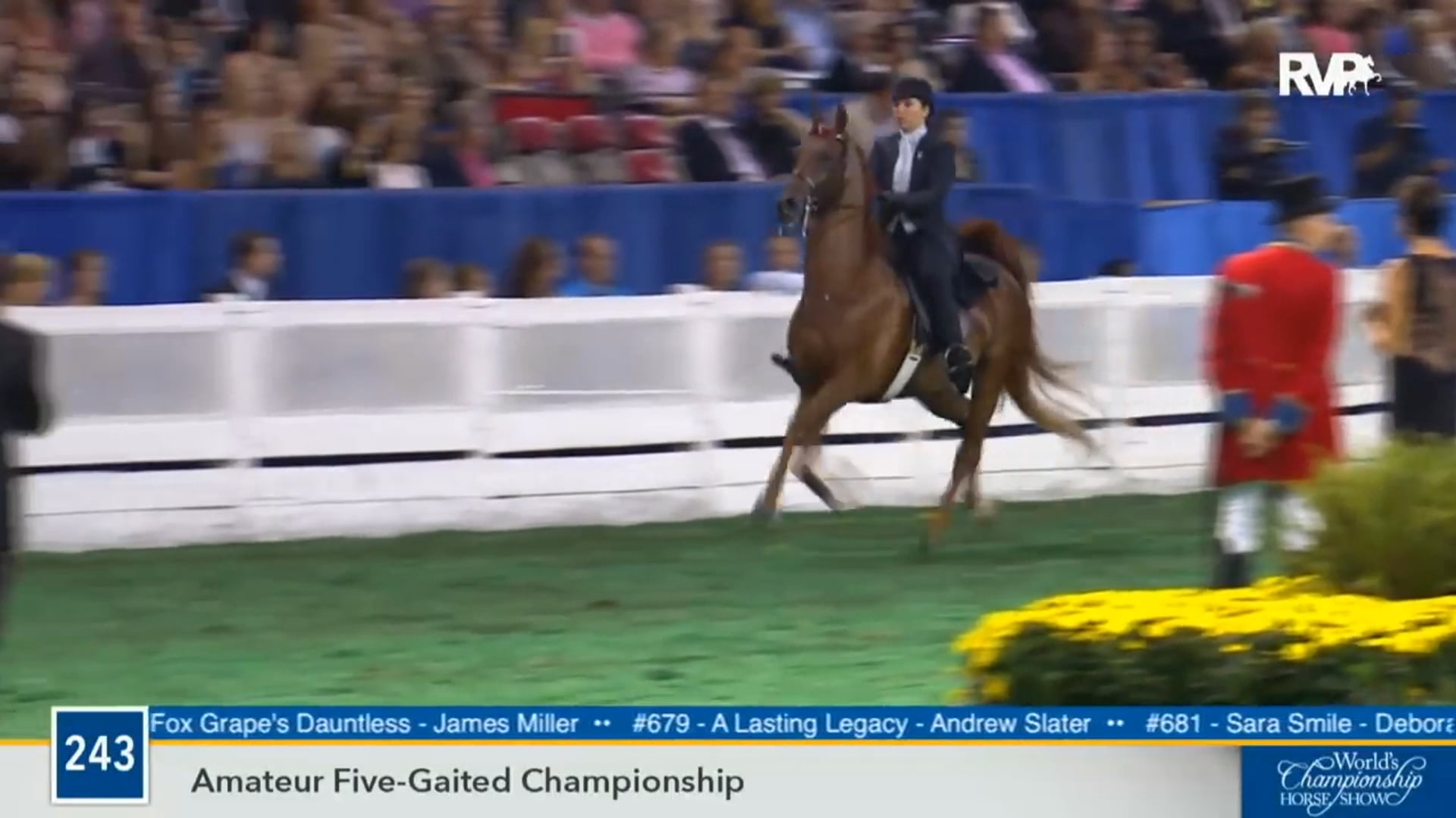 2016 WCHS - Class 243 Amateur Five Gaited
 Championship