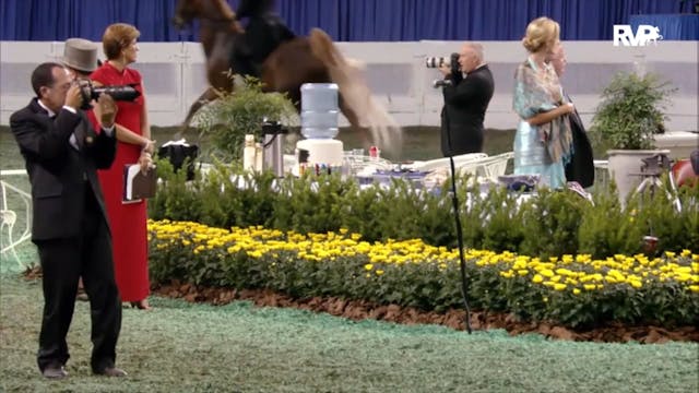 2012 WCHS - Class 111 Five Gaited Mar...