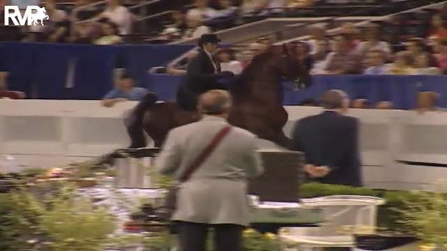 2004 World's Championship Horse Show ...