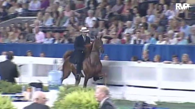 2010 World's Championship Horse Show ...